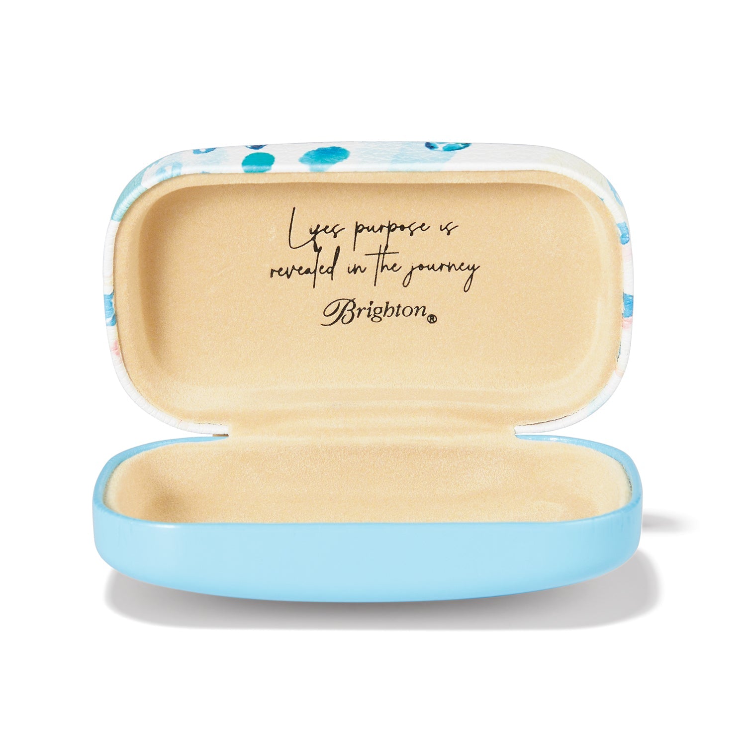 Brighton Sea Turtle Mini Box Stil G8319M