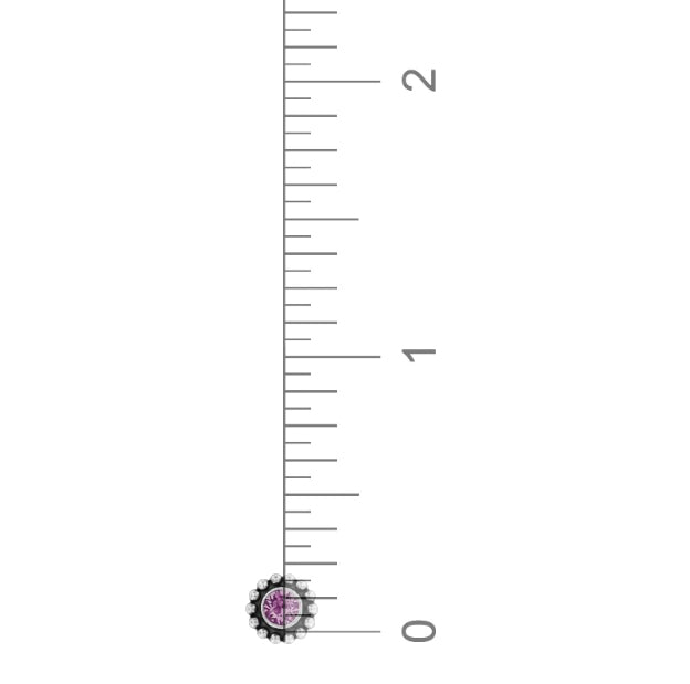 Brighton Twinkle Mini Post Ohrringe Stil J2049G - Amethyst