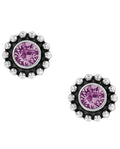 Brighton Twinkle Mini Post Ohrringe Stil J2049G - Amethyst