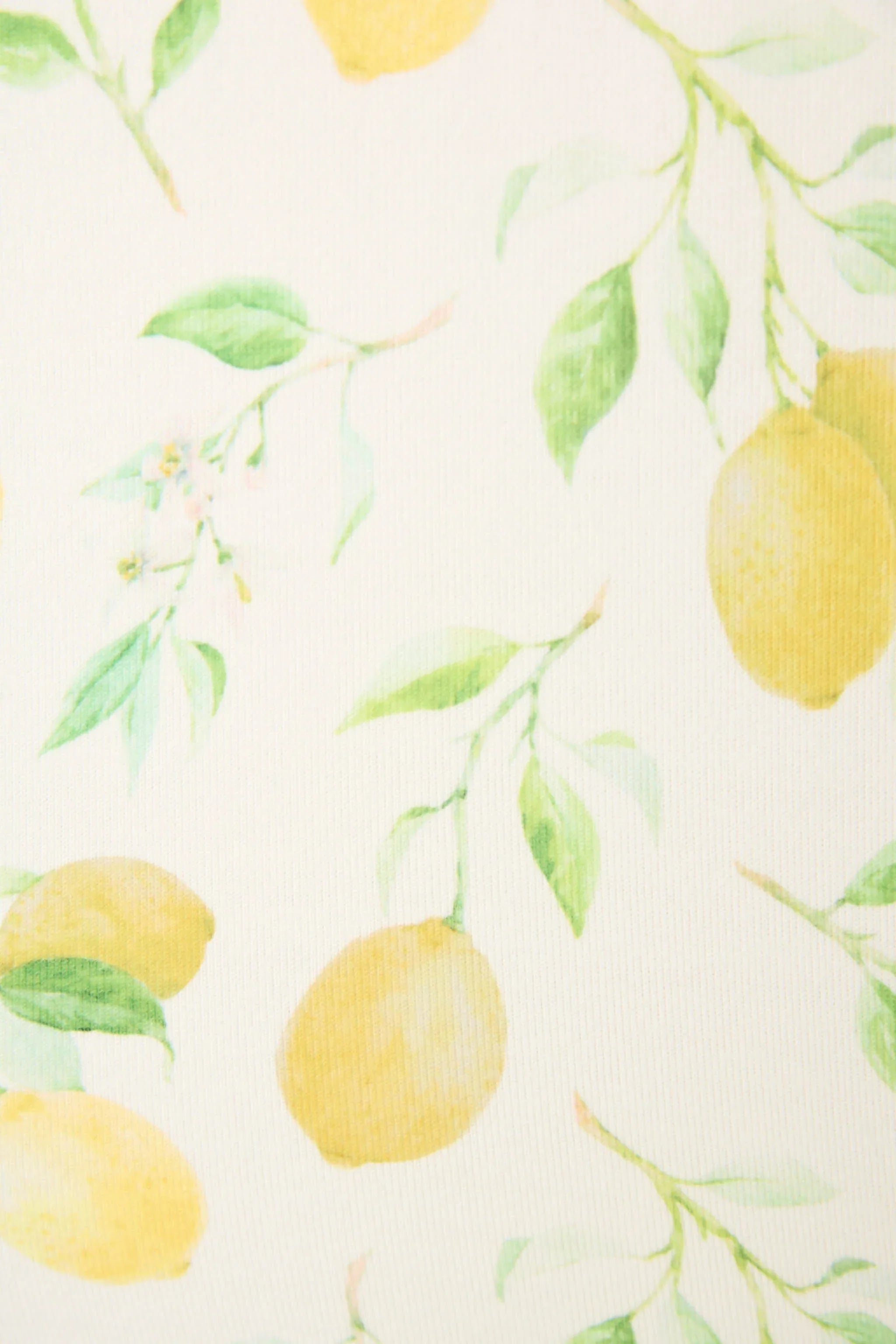PJ Salvage Kurzarm La Dolce Spritz Lemon Set Stil RYLDST - Elfenbein