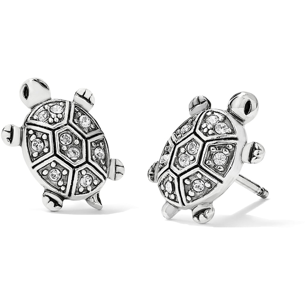Fortune Turtles Mini Post Ohrringe