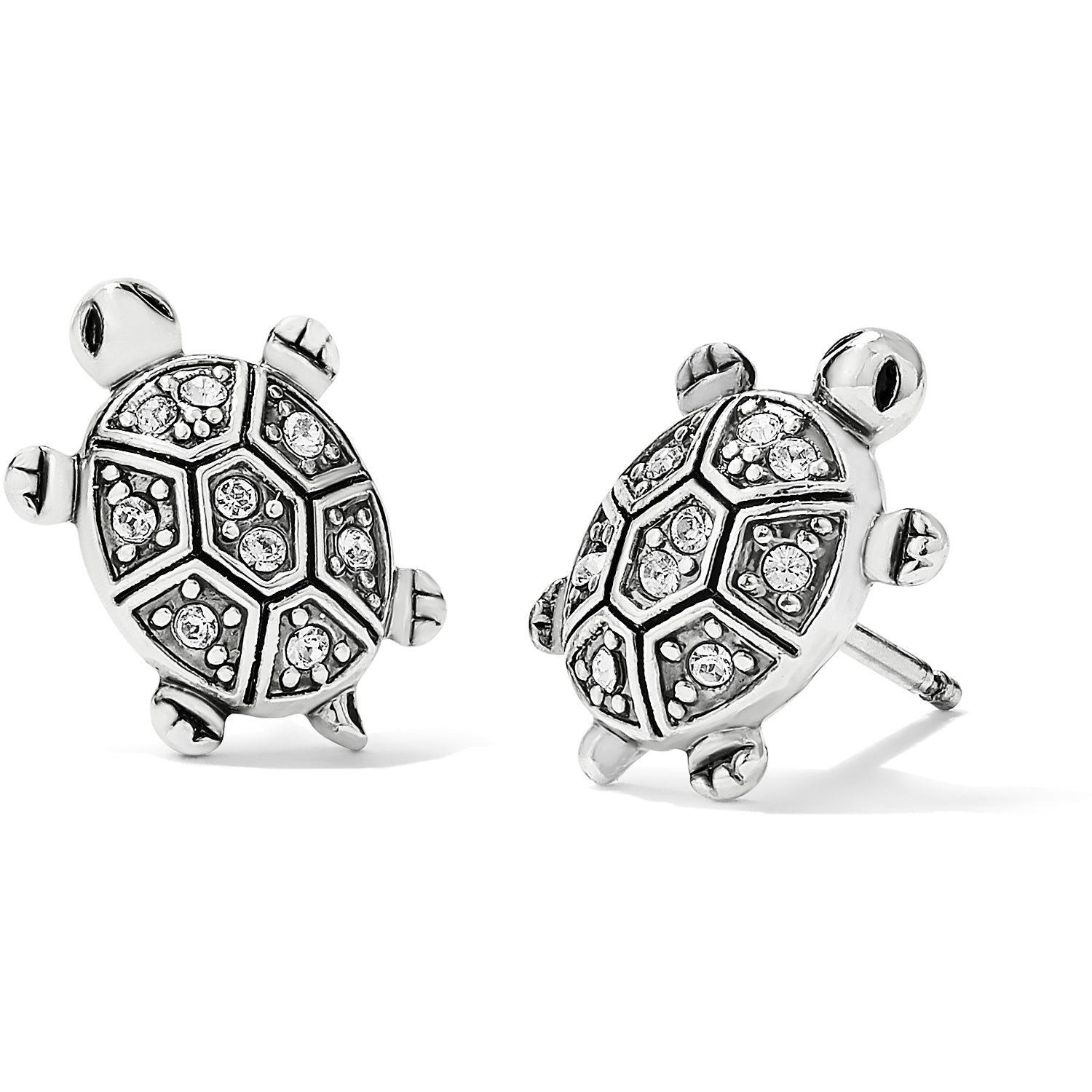 Fortune Turtles Mini Post Ohrringe