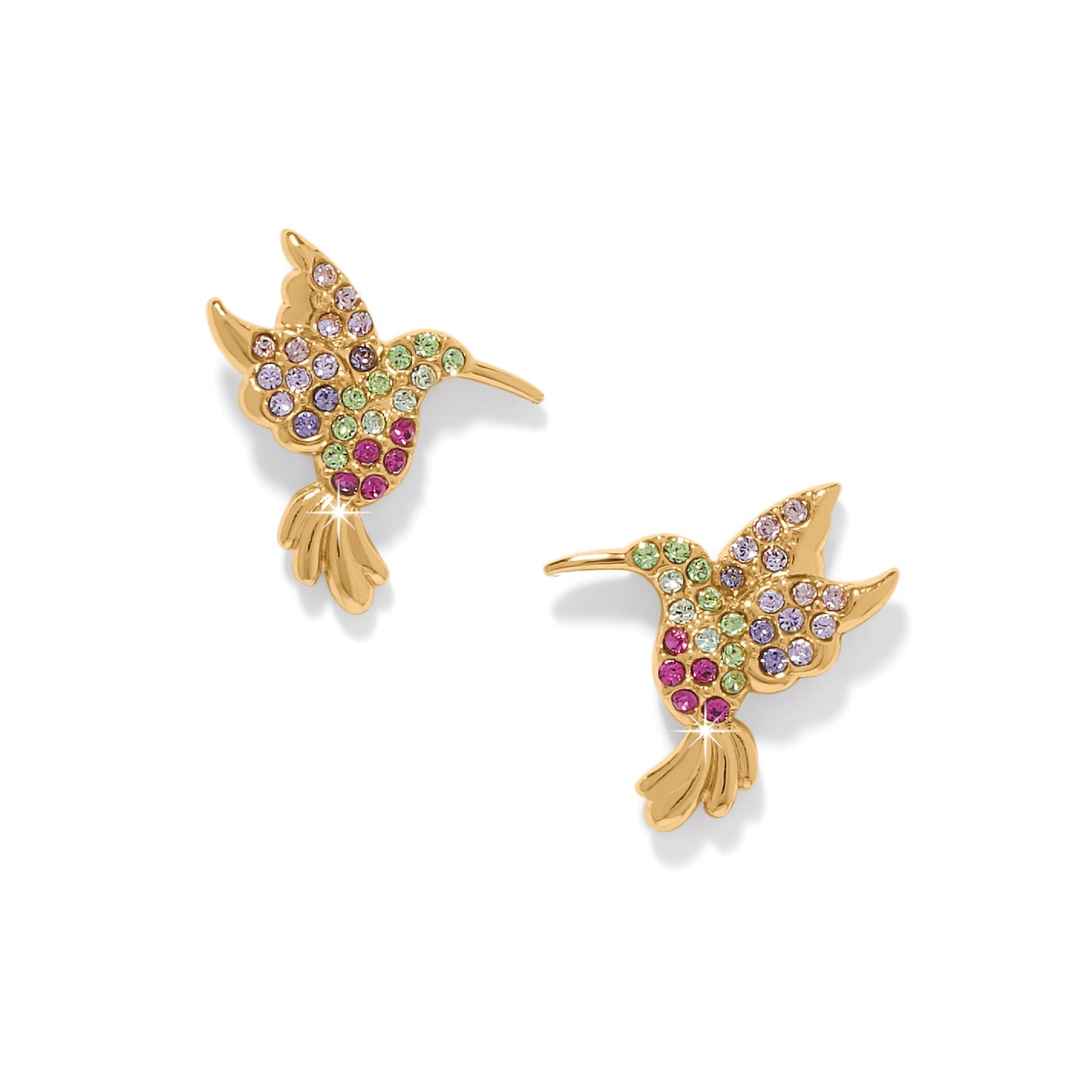 Brighton Bezaubernde Gem Hummingbird Post Ohrringe Stil JA0328