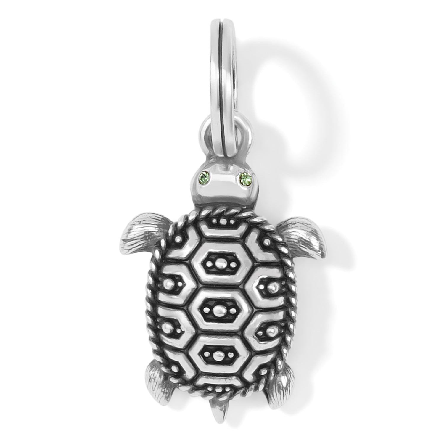 Brighton Pismo Turtle Charm (JC6510)