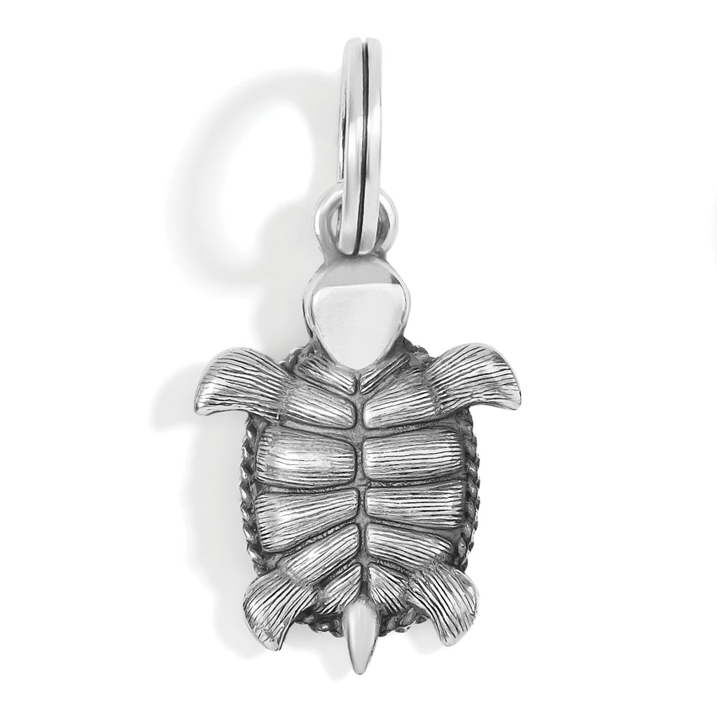 Brighton Pismo Turtle Charm (JC6510)