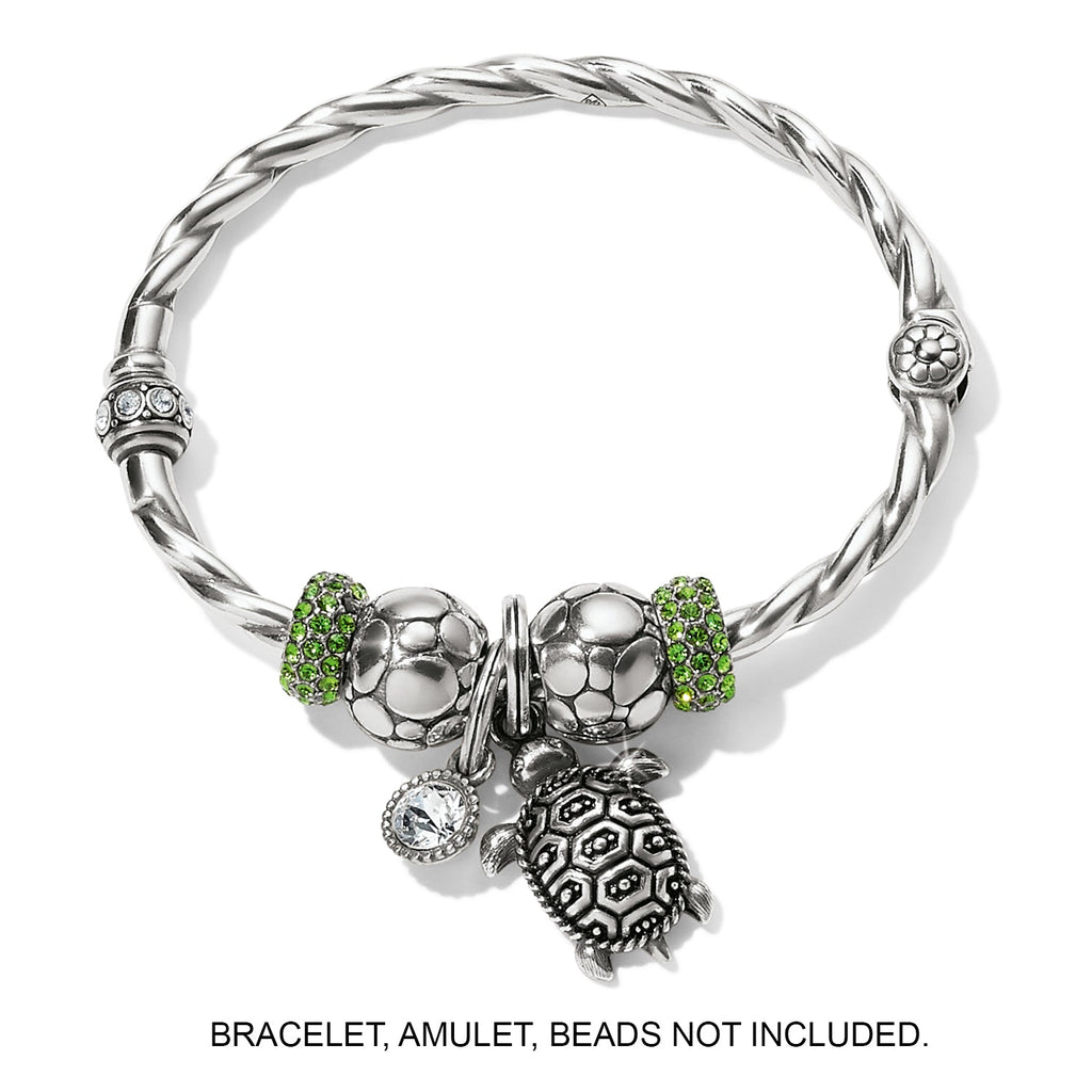 Brighton Pismo Turtle Charm (JC6510)