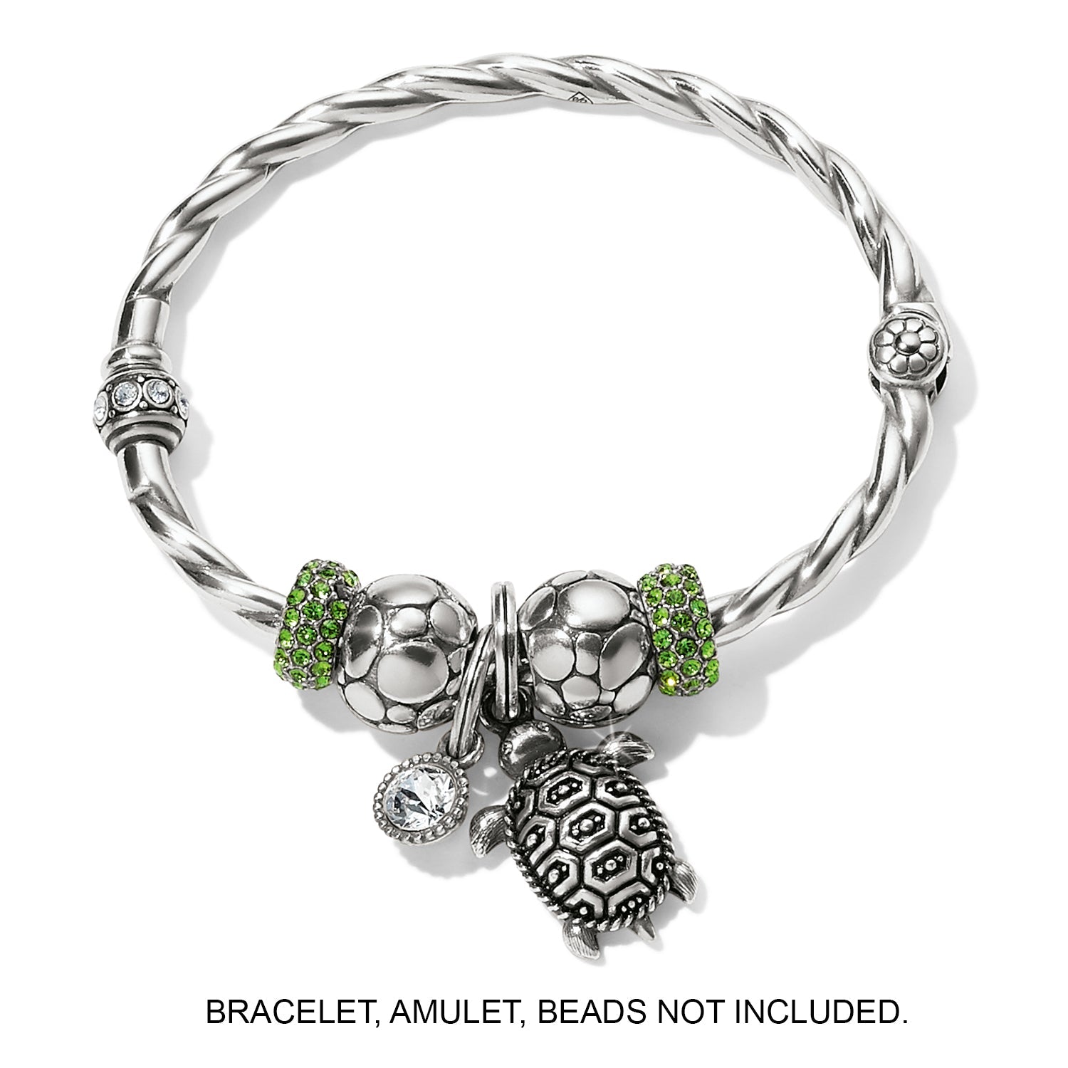 Brighton Pismo Turtle Charm (JC6510)