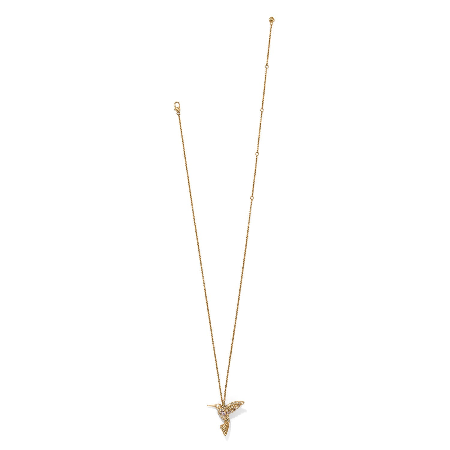 Vertrauen Sie Ihrer Reise Golden Hummingbird Halskette